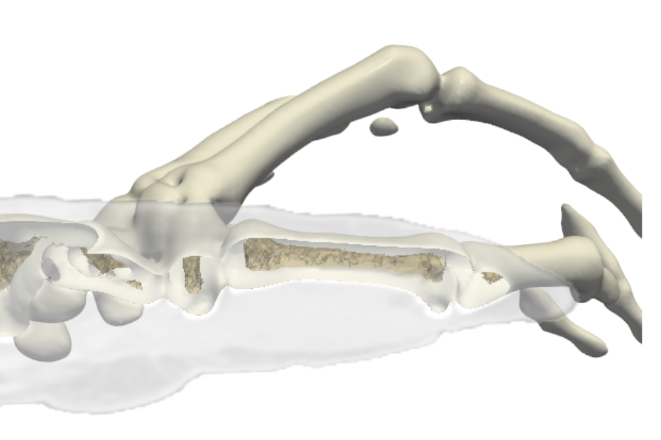CT3D screenshot: Screenshot 2026 07 21 224657