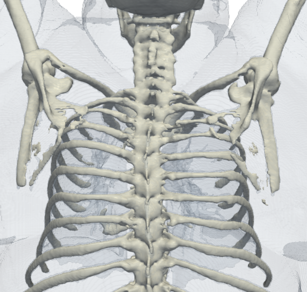 CT3D screenshot: Screenshot 2026 07 21 230219